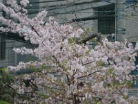 20160410_PracticeGame(vsNakaohe)