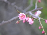 20170219_PracticeGame(inNagara)