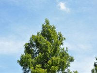 20210722 KitakuQualifying