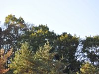 20211114 HoshinomachiCup