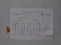 20250615 SummerTournament